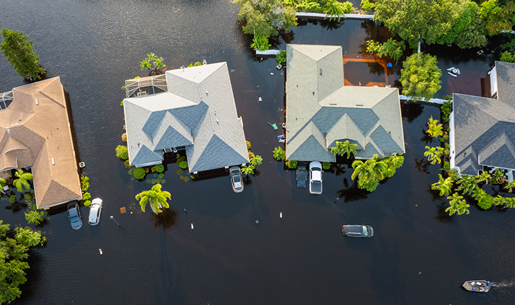 Starwing Flood Image